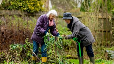 Una de las claves para mantenerse en forma es el movimiento natural, por ejemplo, el cuidado de un jardín. Foto de Centre for Ageing Better: https://www.pexels.com/es-es/foto/gente-tierra-mujer-jardin-7849457/