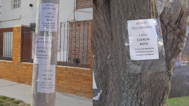 Empapelaron una calle de Regina pidiendo el arreglo de un caño cloacal. Foto: Facebook