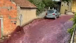 Video: el impresionante río de vino en Portugal al explotar dos tanques de una bodega