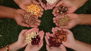 Feria en China Muerta con intercambio de semillas para esta primavera