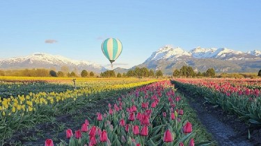 El Campo de Tulipanes es un atractivo único en Argentina que cada primavera sorprende con una paleta de colores inigualable.