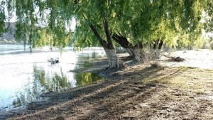 Alertan por inundaciones en un sector de Fernández Oro: «Se esperan condiciones peligrosas»