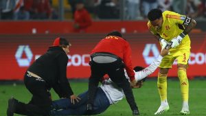Qué dijo el hincha de Perú al que Gallese le tiró el celular en el partido con Argentina