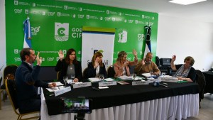 Remoción tesorera en Cipolletti: planteo del Deliberante