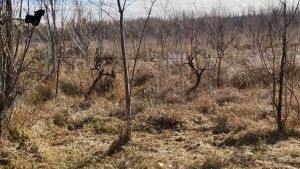En medio de la ola de calor, advierten ante el regreso de «La Niña» y una eventual sequía