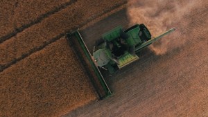 Cómo saber si es un buen momento para comprar o vender un campo