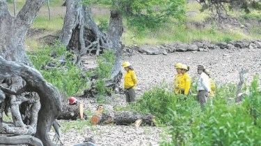 La tragedia ocurrió el 1 de enero de 2016 en el camping Lolen, situado en el Parque Nacional Lanín. (Archivo). 