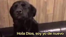 Imagen de Elecciones 2023 y memes: estas son las mejores reacciones en redes sociales