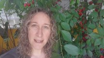 Imagen de Crudo testimonio: desde Israel y con explosiones de fondo, Débora, vecina de Roca, relata la guerra
