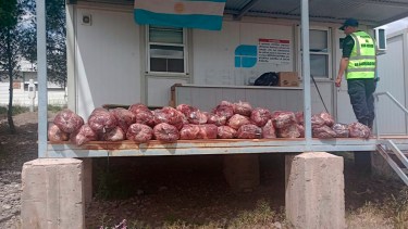 El procedimiento fue informado por el personal de Seguridad Vial. Foto: Gentileza.