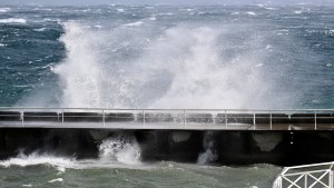 Alerta por viento, con ráfagas de hasta 100 km/h: regirá durante la visita de Milei a Bariloche