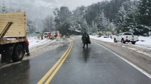 Imagen de Se liberó la Ruta 40 cerca de Villa la Angostura, luego del vuelco de la carga de un camión