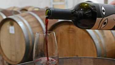 En el día del vino argentino, nada mejor pasear por las bodegas de Río Negro y Neuquén