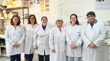 Investigadores de Argentina y España desarrollan un nuevo material basado en aguas termales para que pueda ser utilizado durante todo el año