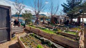Centenario: encuentro de Huertas Terapéuticas, este finde, reunirá agroecología, arte y salud