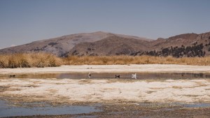 El lago Titicaca está en su nivel histórico más bajo en medio de una dura sequía en Bolivia