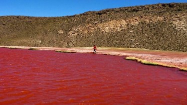 ¿Fenómeno natural o misterio bíblico?: por qué el río Nilo se tiñó de rojo
