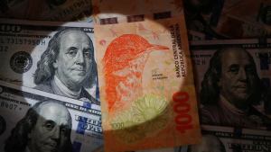 Dólar: el mercado le puso valor al oficial para cuando asuma Milei, ¿cuánto cotizará en diciembre?