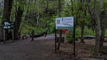 Imagen de Bariloche ahora cobra para recorrer los senderos del parque municipal Llao Llao