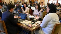 Imagen de Por la oposición del oficialismo, el cerro Catedral no será un área protegida