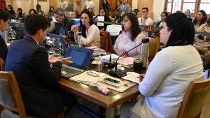 Por la oposición del oficialismo, el cerro Catedral no será un área protegida