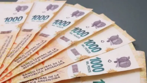 Anses: los 4 bonos que confirmó el Gobierno Nacional para diciembre 2023