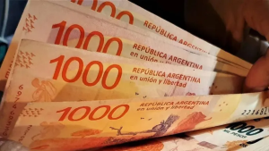 Anses: cuándo se paga el bono IFE a trabajadores informales en noviembre 2023