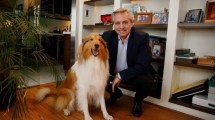 Imagen de Conan y Dylan, los perros de Javier Milei y Alberto Fernández que se roban los memes en redes