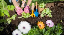 Imagen de Cinco herramientas clave para el cuidado de tu jardín, esta primavera