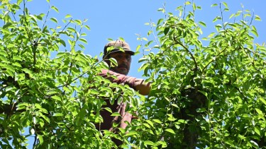 Los trabajadores de la fruta exigen un aumento acorde a la inflación. Fotos: Flor Salto.