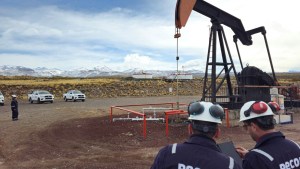 Pecom presentó su segundo reporte de sustentabilidad y destacó la gestión de residuos
