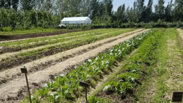 Cómo repoblar las chacras: Allen se decide por la agroecología