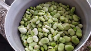 Semana de las habas: receta de empanadas y dónde conseguirlas en Neuquén capital
