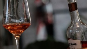 Río Colorado: así reafirma bodega Trina su atractivo en el camino de los vinos rionegrinos