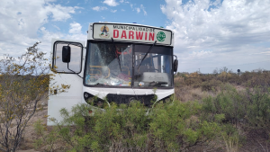 Despistó un colectivo con estudiantes sobre la Ruta 22, en Darwin: el conductor se descompensó y murió