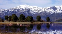 Imagen de De los tulipanes de Trevelin al lago de las truchas y los flamencos: dónde queda este paraíso de Chubut