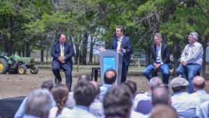 Massa y un mensaje al campo: planteó la reducción de impuestos al sector agropecuario