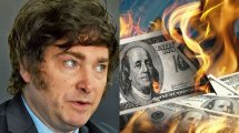 Imagen de Dólar oficial: el mercado ajusta expectativas, ¿qué esperan que ocurra cuando asuma Milei?