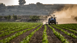 Milei y los pedidos del campo: quita de retenciones, fin de restricciones y «reglas claras»