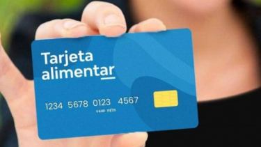 Cuánto cobrará la Tarjeta Alimentar de Anses en enero 2024. 