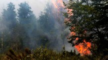 Imagen de Feroz incendio en la cordillera de Neuquén: consumió 20 hectáreas de bosque, pero está contenido