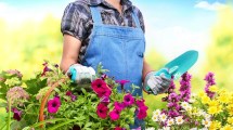 Imagen de ¿Necesitás auxilio? Cinco trucos para mejorar tu jardín en primavera