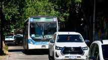 Imagen de Habrá colectivos gratis en Neuquén para llegar a la Fiesta de la Confluencia: cómo funcionarán