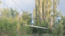 Imagen de Tormenta en Cinco Saltos: un árbol caído dejó a vecinos sin luz ni agua