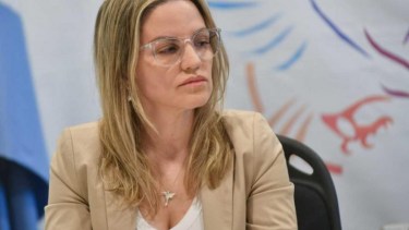 Píparo habló sobre su corrimiento de Anses. Foto: Gentileza NA. 