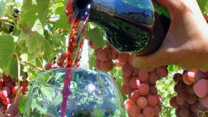 Descubrí «El Camino del Vino», una experiencia única para este verano