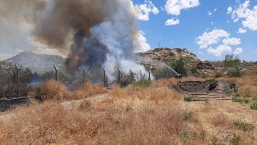 El incendio se registró en cercanías del barrio Rincón de Emilio. Foto: Gentileza.