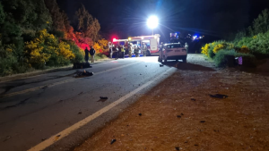 Murió tras chocar de manera frontal con un auto sobre Ruta 40, cerca de Bariloche
