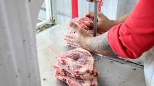 Video: un experto te explica cómo armar el asado de Fin de Año y que sea un éxito  