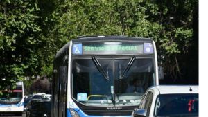 Cómo funcionará en Navidad el estacionamiento, los balnearios y los colectivos en Neuquén